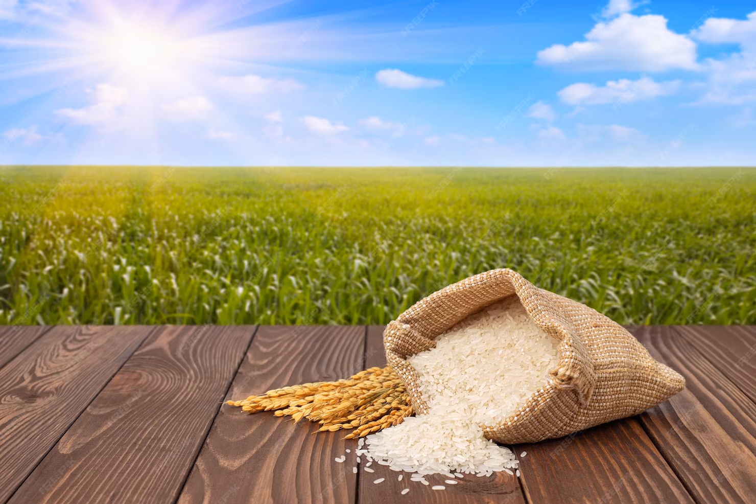 rice Starch Production